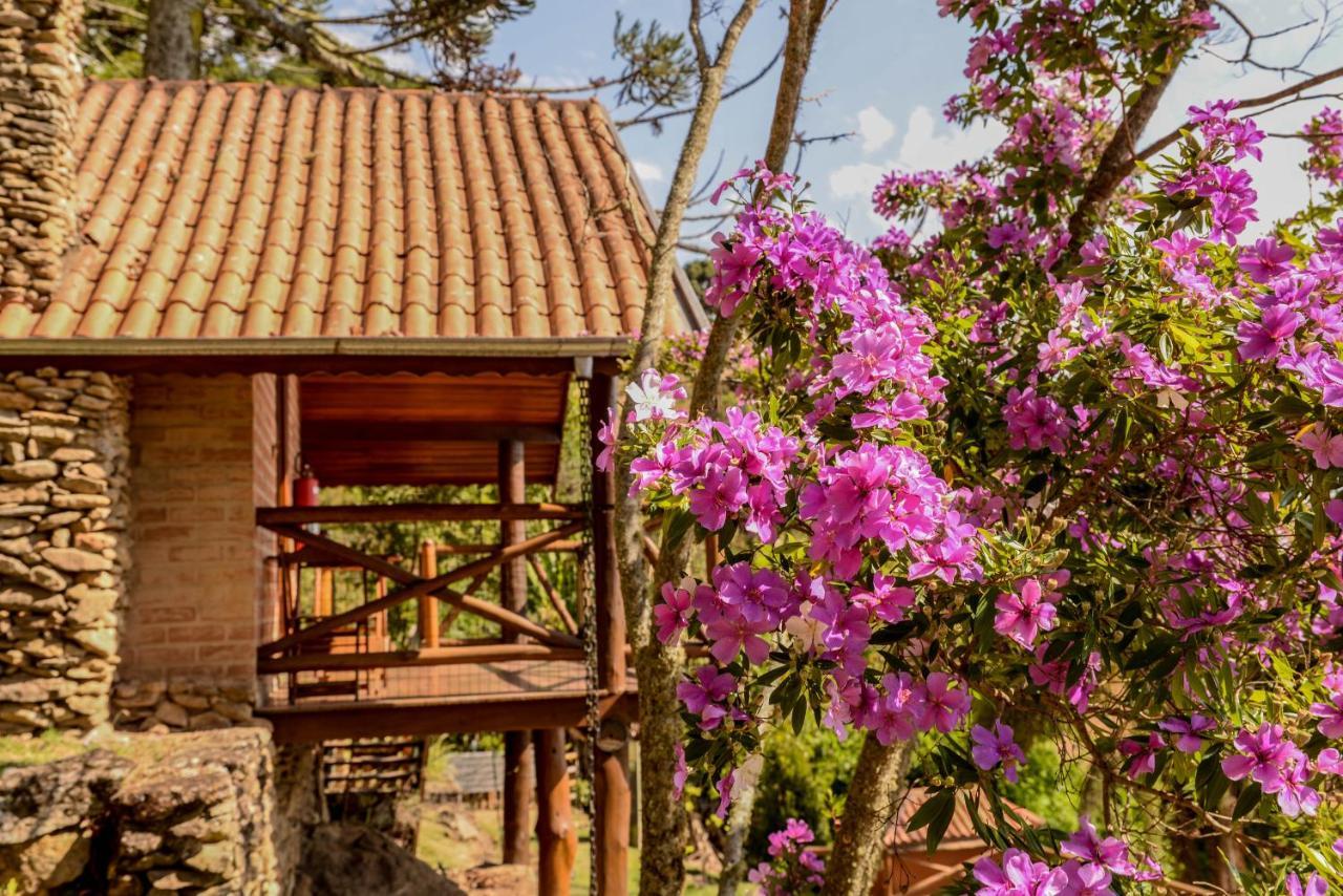 Vila Chales Araucaria E Manaca São Bento do Sapucaí Exteriér fotografie