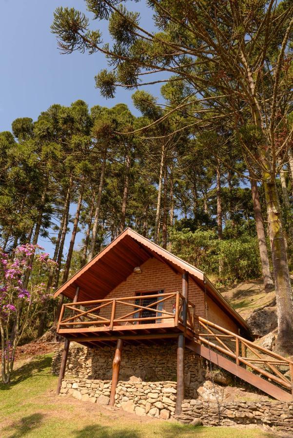 Vila Chales Araucaria E Manaca São Bento do Sapucaí Exteriér fotografie