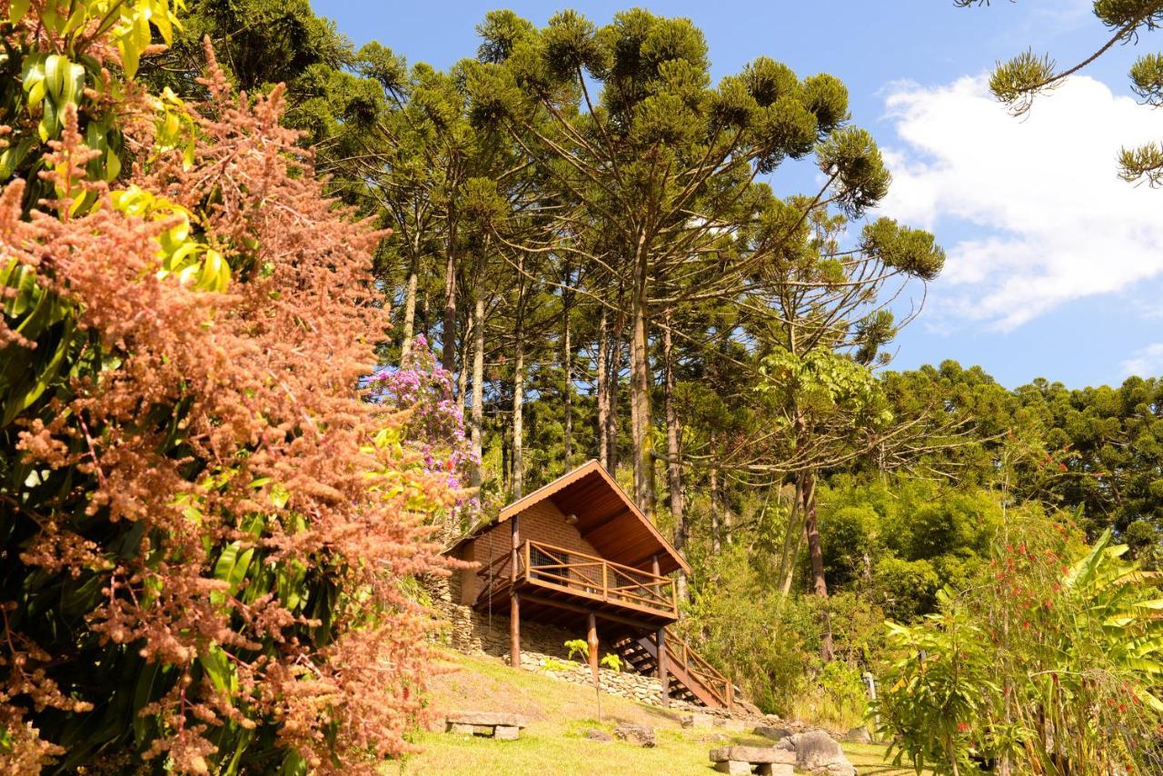 Chales Araucaria E Manaca São Bento do Sapucaí Exteriér fotografie