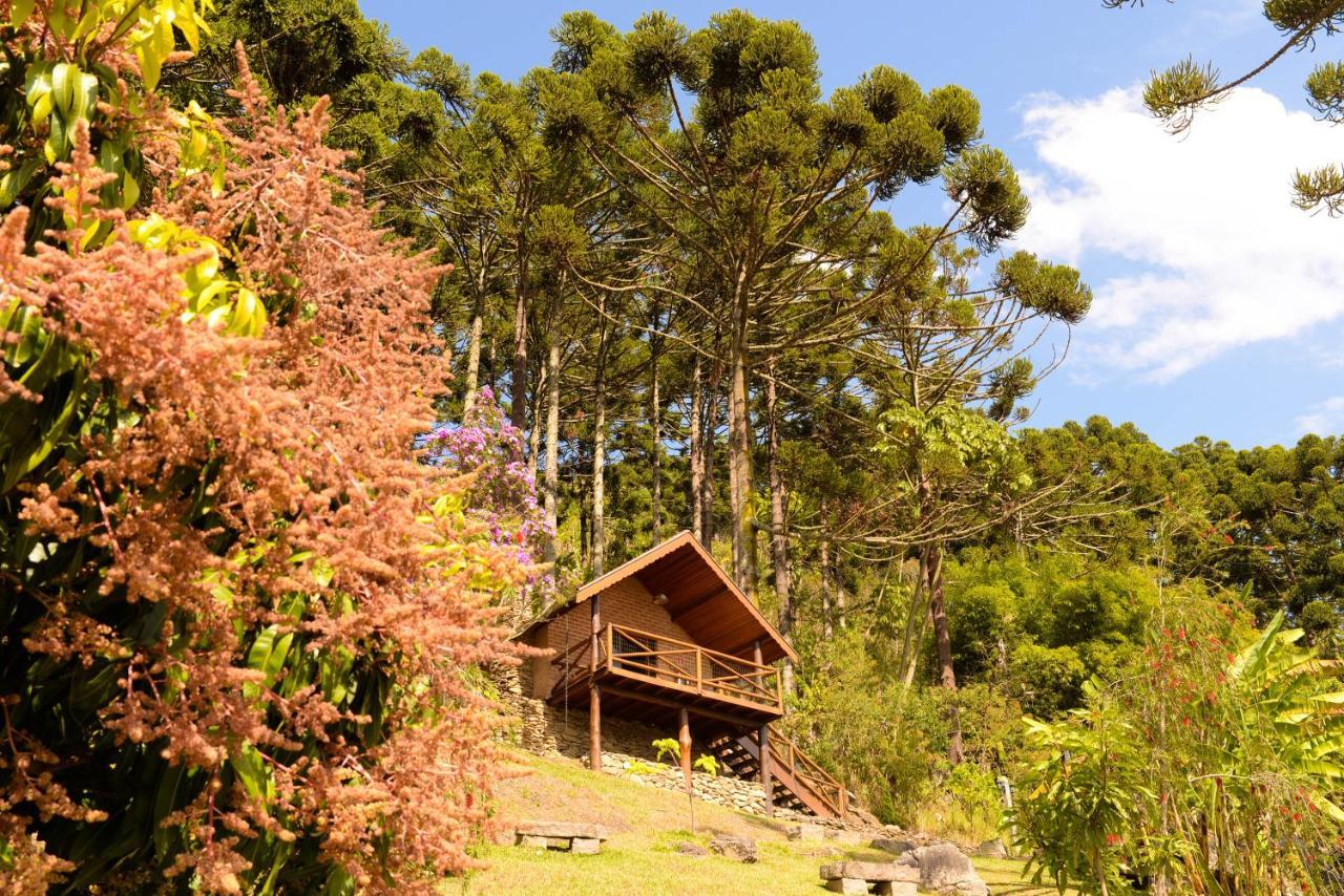 Vila Chales Araucaria E Manaca São Bento do Sapucaí Exteriér fotografie