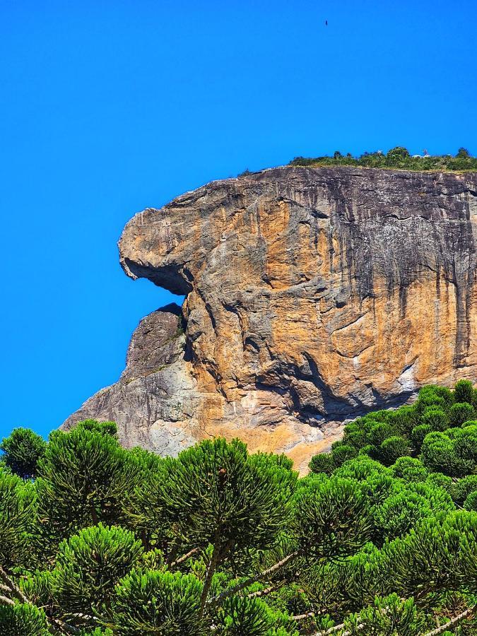 Chales Araucaria E Manaca São Bento do Sapucaí Exteriér fotografie