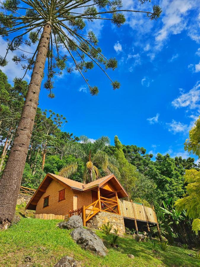 Vila Chales Araucaria E Manaca São Bento do Sapucaí Exteriér fotografie