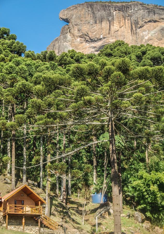 Vila Chales Araucaria E Manaca São Bento do Sapucaí Exteriér fotografie