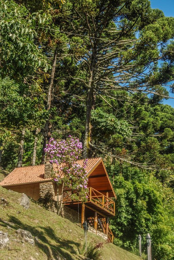 Chales Araucaria E Manaca São Bento do Sapucaí Exteriér fotografie